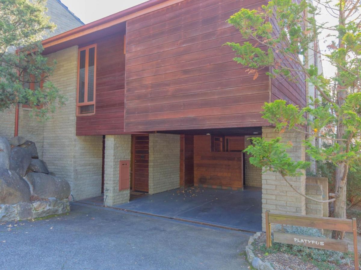 Platypus 19 Mclure Circuit Villa Джиндабайн Екстериор снимка